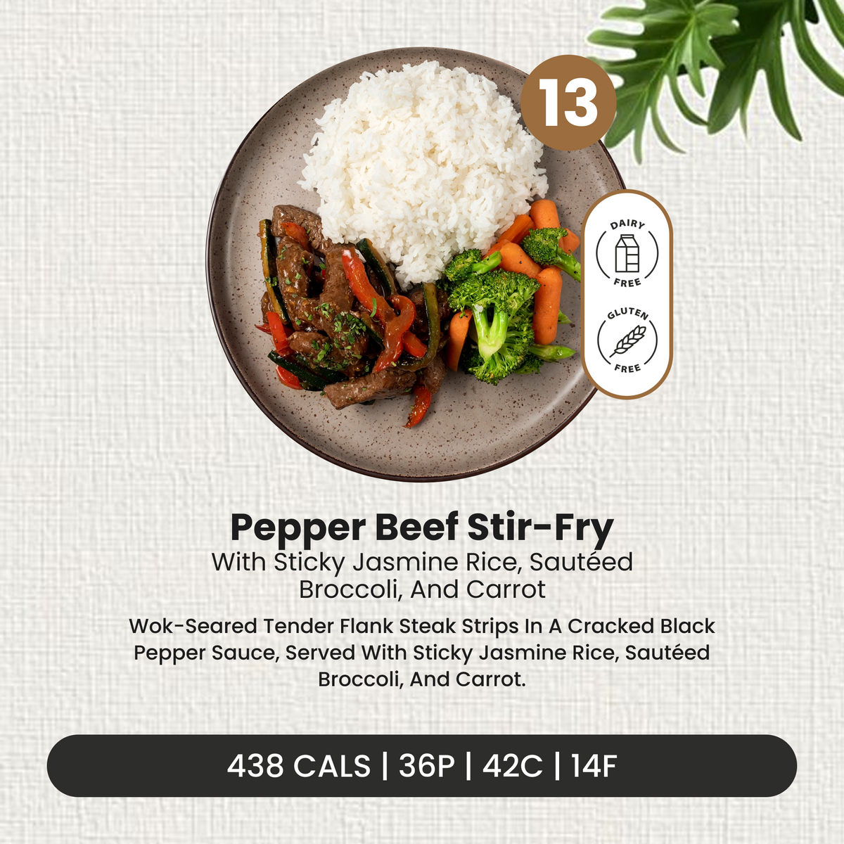 6 Meal Plan