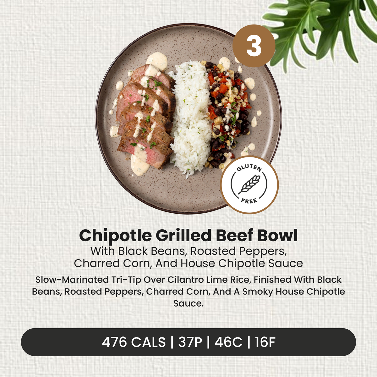 6 Meal Plan