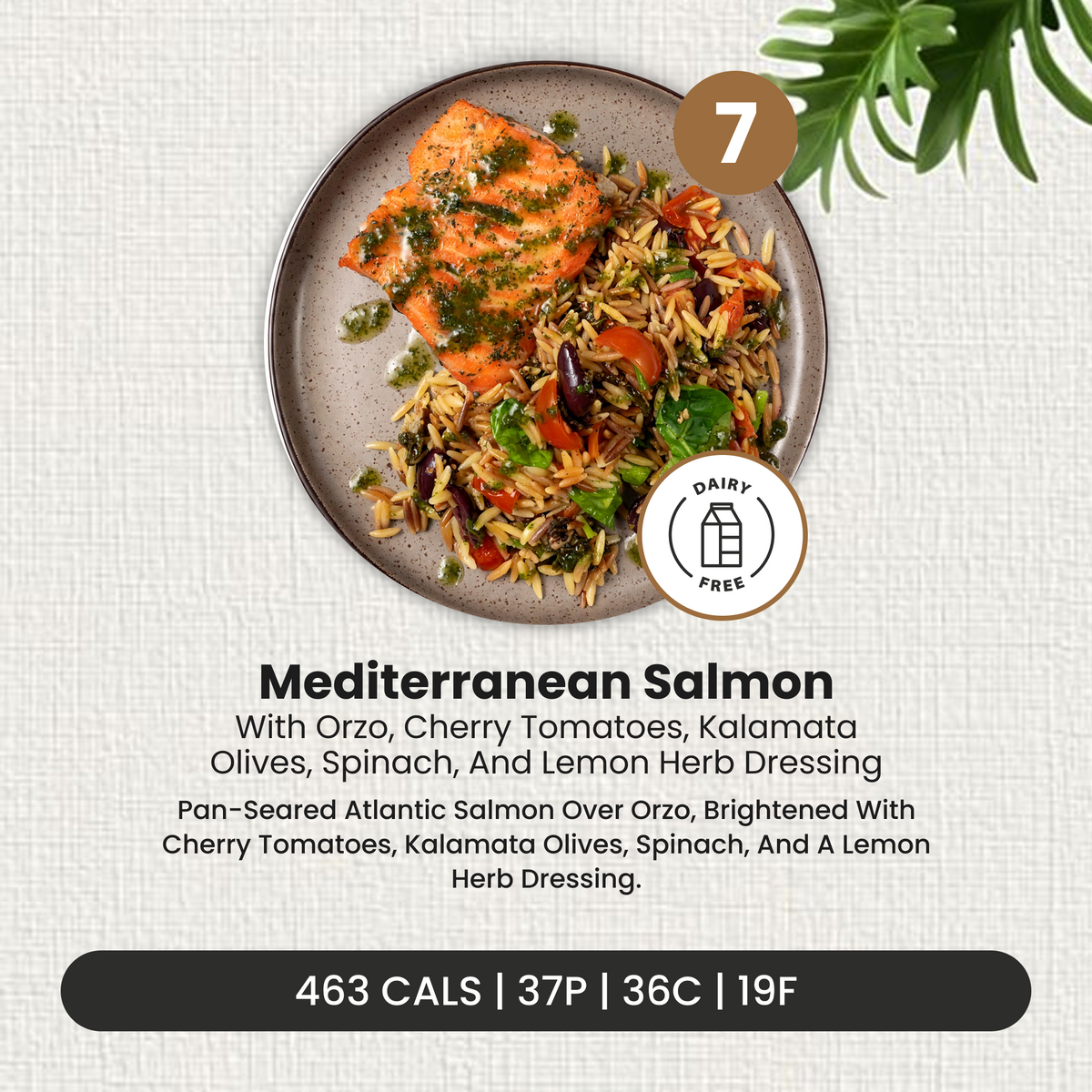 EXCLUSIVE 5 (+1 FREE) MEAL PLAN